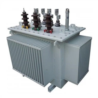 שנאי טבול בשמן 10kv