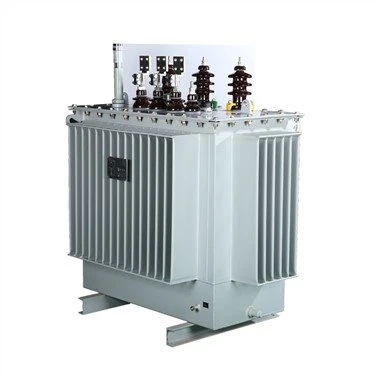 שנאי הפצה שקוע בשמן 11kV
